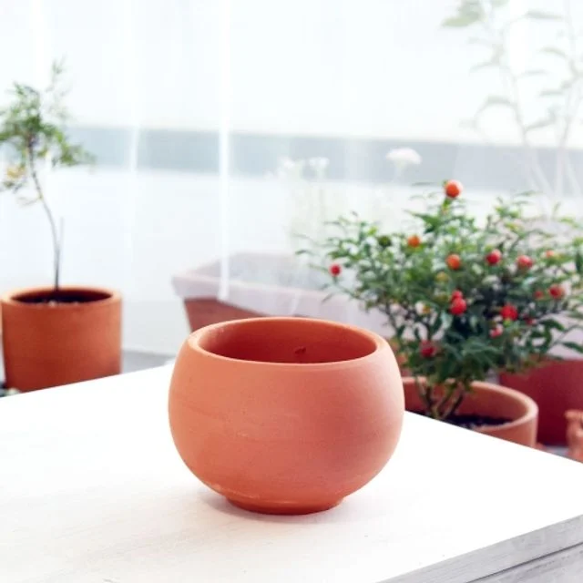 황토빛 앵두 13x9cm 토분(갈색화분)