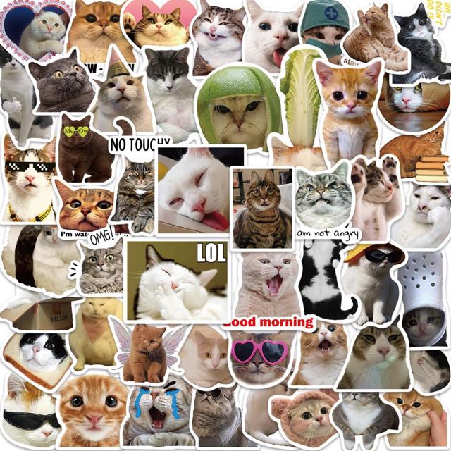 귀여운 고양이 밈 스티커 50장 세트 폰꾸 다꾸 노트북