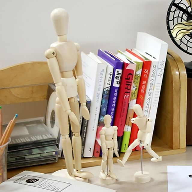 구체 관절인형 30cm (미술 인체묘사뎃생용품)