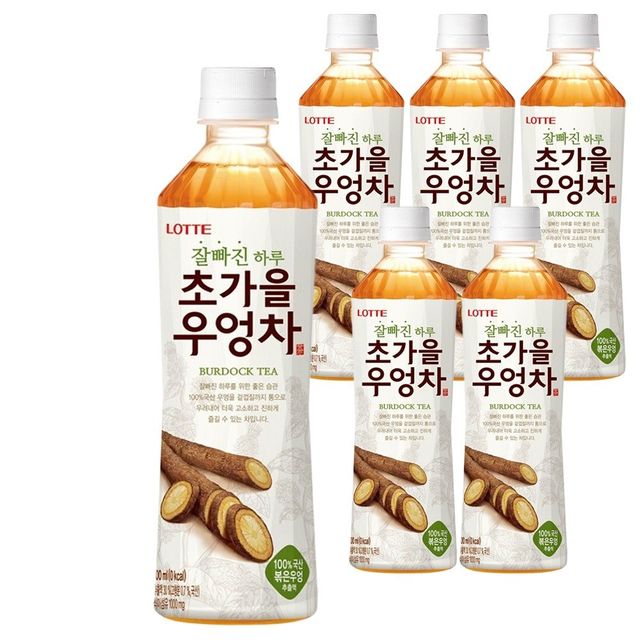 롯데 초가을우엉차 500ml x 6PET - 가을 향기 담긴 건강 우엉차