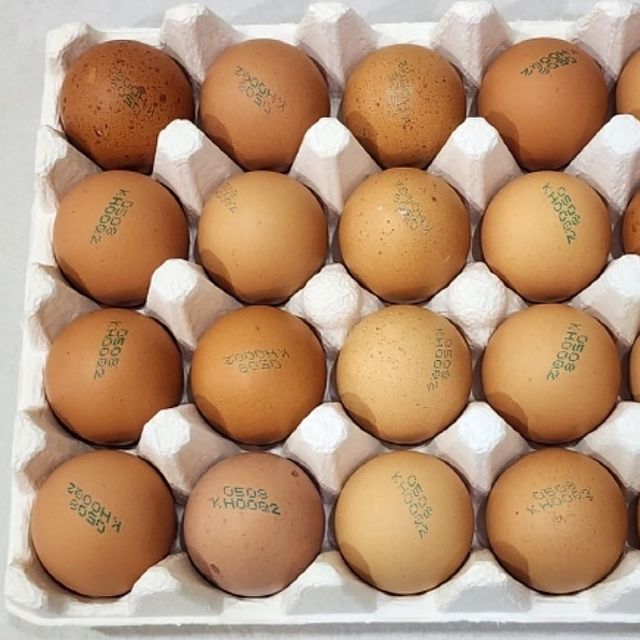 건강한 난각번호 2번 유정란 40구 동물복지 계란 달걀