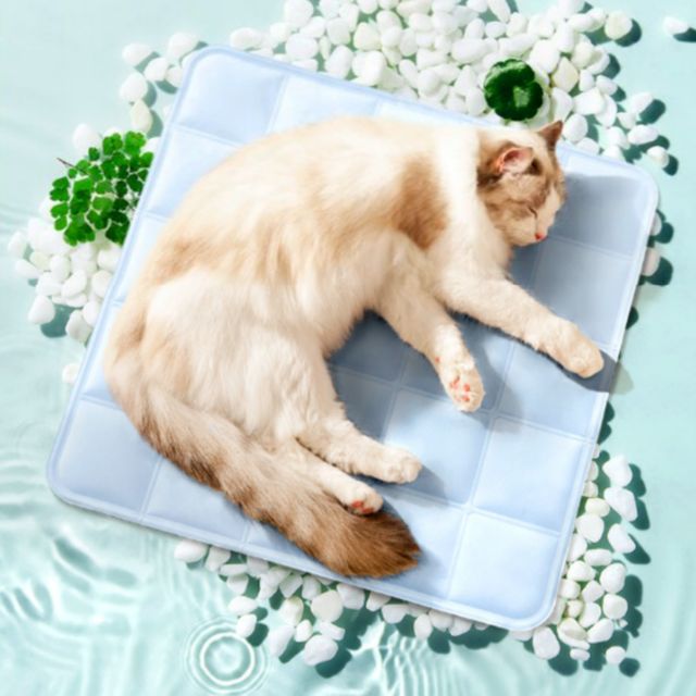 반려동물 쿨매트 냉감패드 강아지 고양이