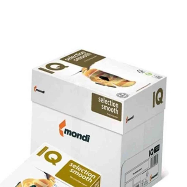 A3 복사용지 100g 2000매, 다용도 컬러프린트 칼라복사지