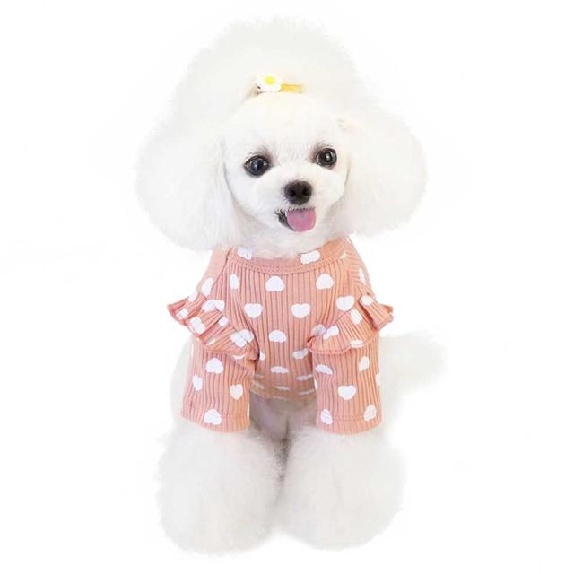강아지 레이스 디자인 골지 데일리 산책 티셔츠 의류
