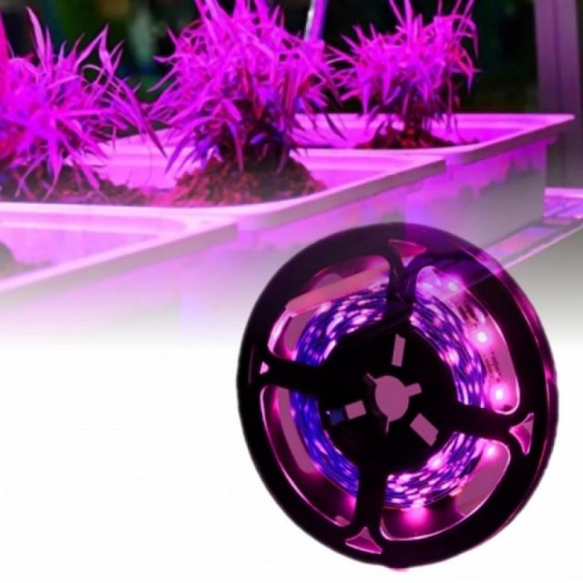 2835 SMD 풀 스펙트럼 식물 성장용 LED 조명 램프 3M
