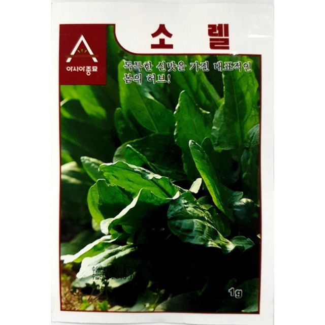 샐러드 고기용 소렐 씨앗 신맛 허브 종자