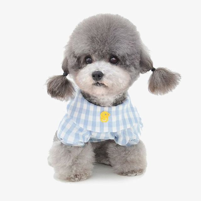 OH 병아리마크 반려동물 평상복 - 귀여운 포인트의 데일리 반려의류