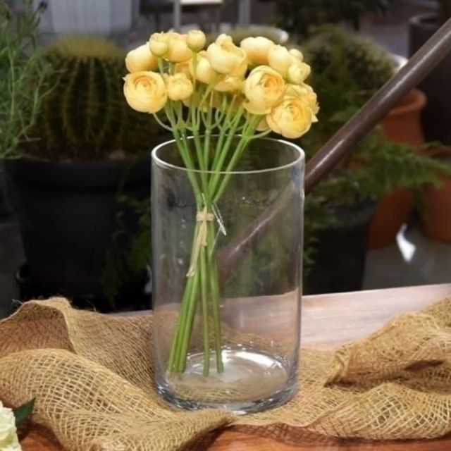 유리 화병 12x40cm 예쁜화병 장식화분 창틀화분