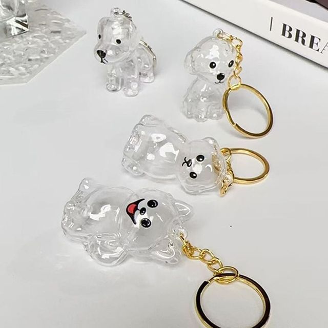 반려견 털케이스 4p 캡슐 강아지 키링 털보관 투명 고양이 수집케이스