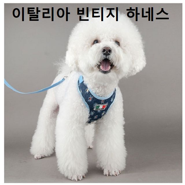 애견 가슴줄 이탈리아 빈티지 하네스 목줄 산책줄