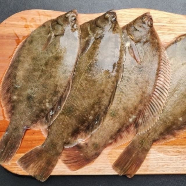 혜명몰 냉동 도다리 2kg 집들이선물 설날선물 추석선물 회사명절선물 부모님명절선물