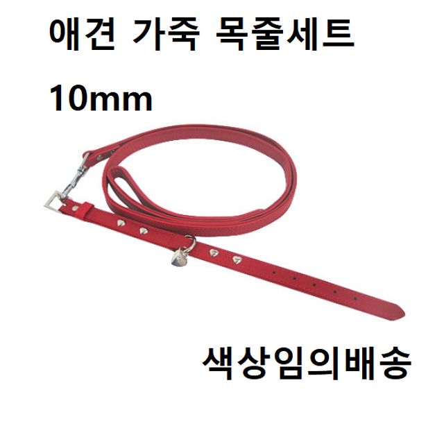 가죽 목줄세트 10mm 강아지목줄 애견 패션 리드줄