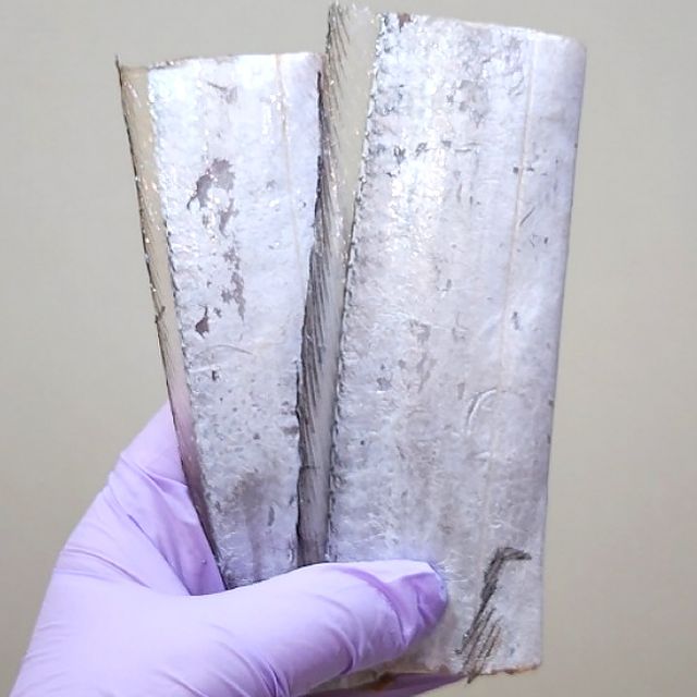 제주산 급냉 은갈치 소 15토막 두툼한 생선 반찬 구이