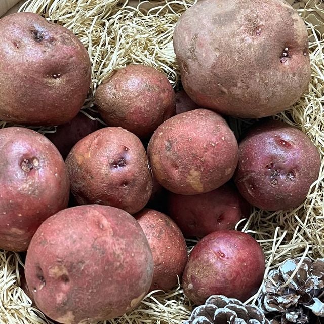 국내산 포슬포슬 홍감자 소(60g 이하) 3kg