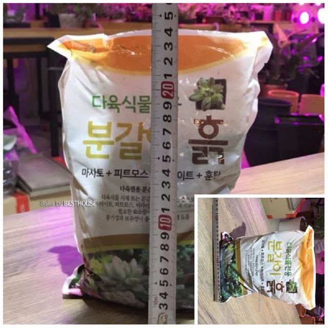 한성 묵직한 선인장 다육이 전용 분갈이 흙 2.8L 약 1.5Kg 소포장 배양토 화분흙 분갈이흙 분갈이용토