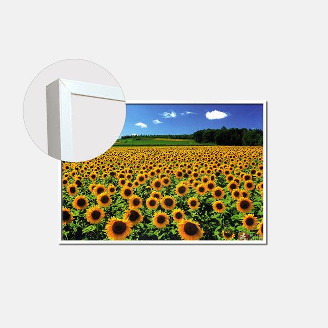 1000피스퍼즐 해바라기들판+화이트(알루미늄 액자)
