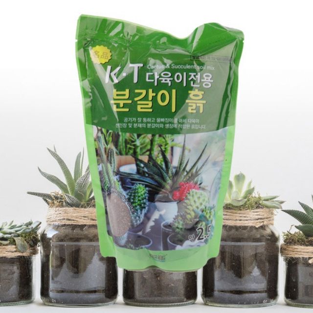 아가베분갈이흙 펄라이트 분갈이토양 원예용 배양토 2.5L