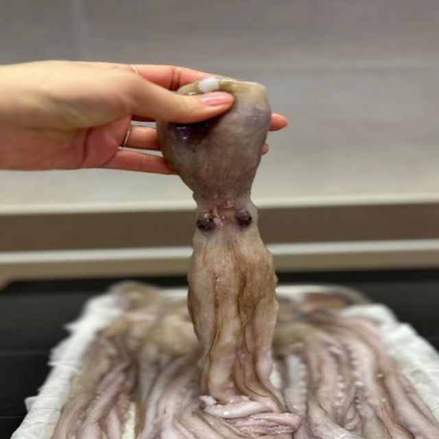 혜명몰 낙지 1kg 신안낙지 국산낙지 무안낙지 무안세발낙지 산낙지가격