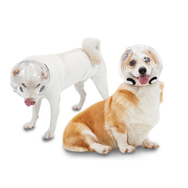 소형견 물림 방지 헤드커버 강아지 고양이 훈련용품