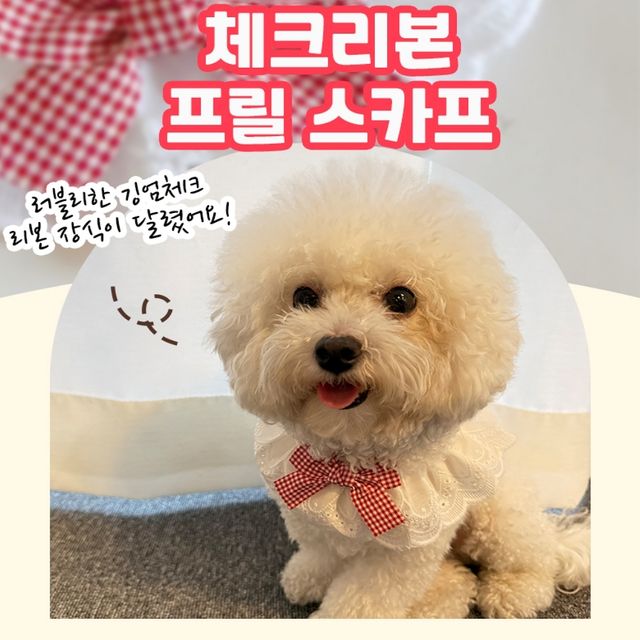 강아지 체크리본 프릴스카프 타이 6색 반려견 액세서리