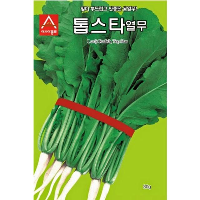 열무씨앗 아시아 톱스타열무 20g 무 종자
