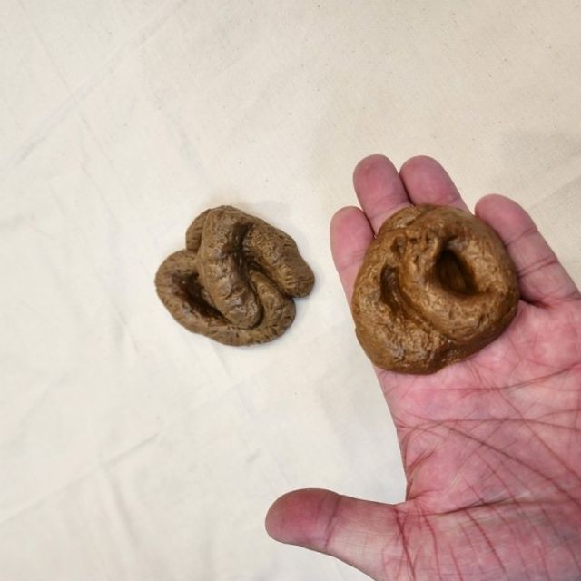 장식품 똥 리얼 모형 모양 변기 배변훈련 교육용 어린