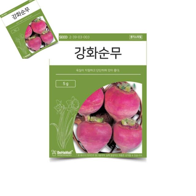 텃밭 채소 씨앗 강화 순무 순무키우기 순무씨앗 텃밭용품 채소종자
