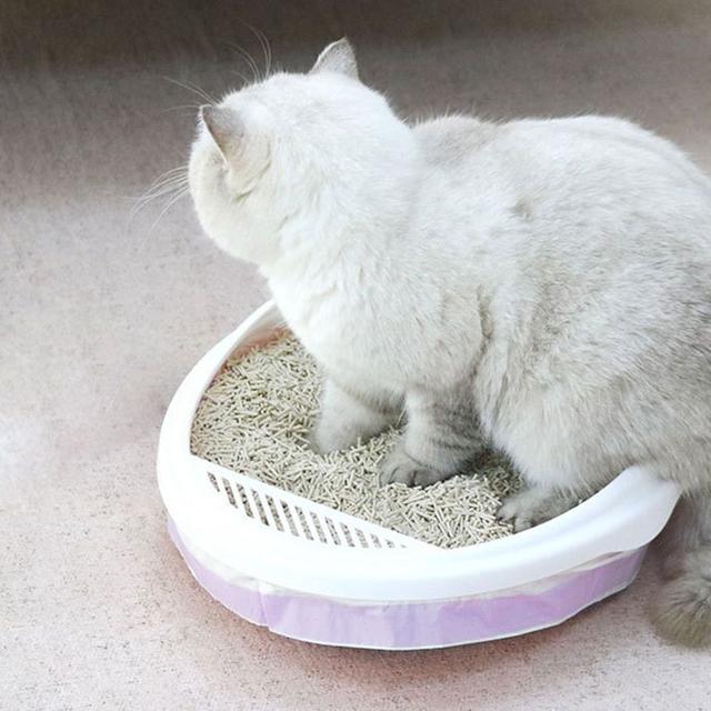 배변봉투 집게 고양이 화장실 봉투 3롤 세트