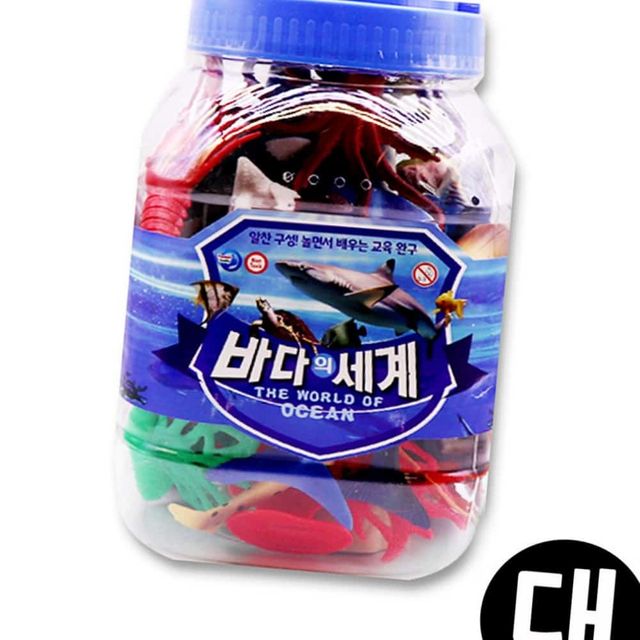 바다의세계 대 어린이날선물 자연관찰
