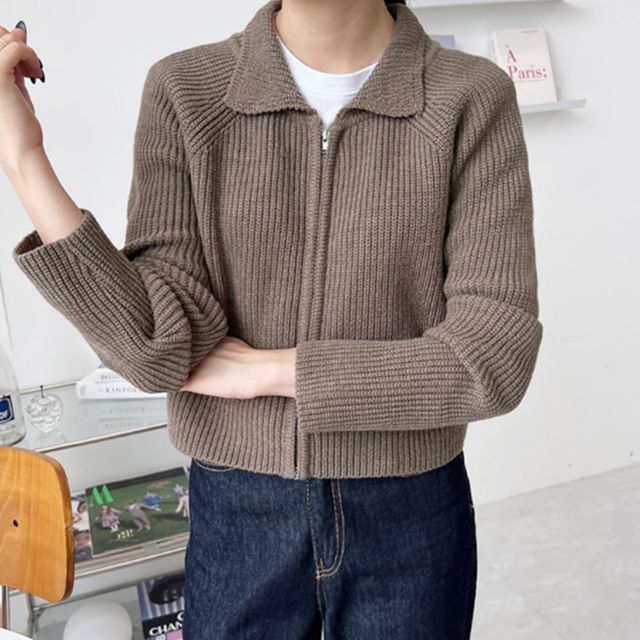 여자 브라운 집업 카라 니트 봄 가을 가디건