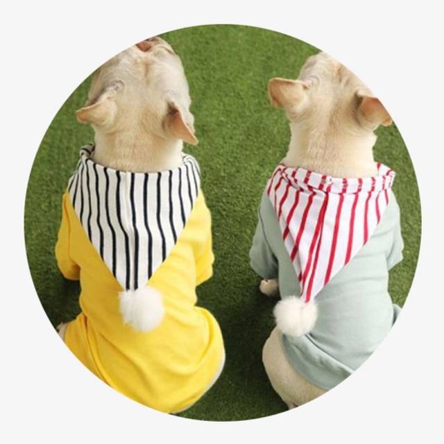 TBZ OH 브룩후드 반려동물 평상복