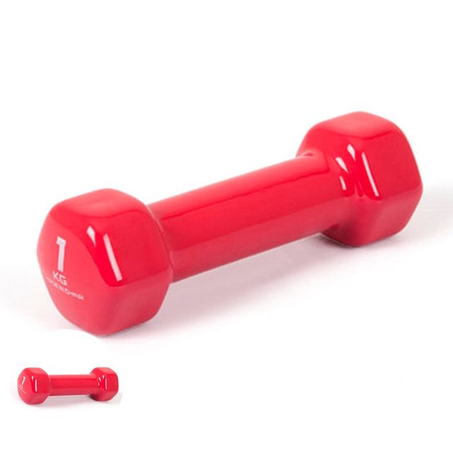 PVC 컬러 덤벨 1kg, 실내 팔운동용 여성 아령 핫핑크