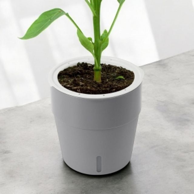 자동급수 화분 5p 13x14cm 그레이 심지화분 심지급수화분