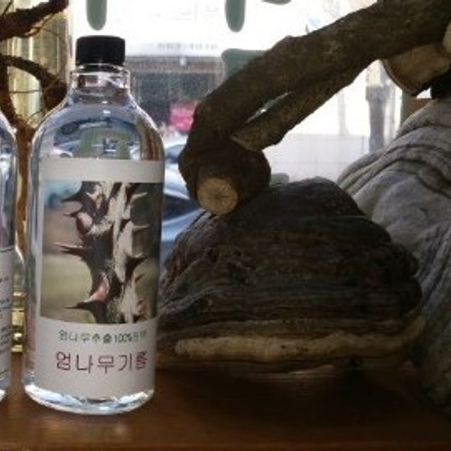 100% 원액 엄나무진액 기름 500ml (1병)