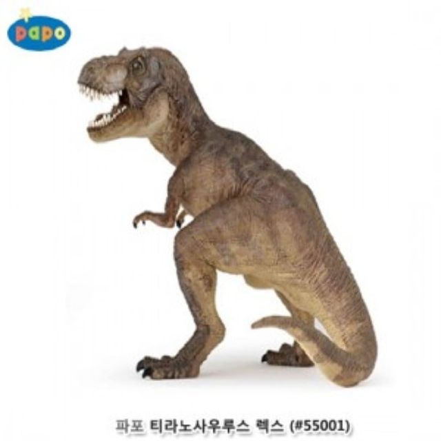 유아용품 파포 티라노사우루스 렉스