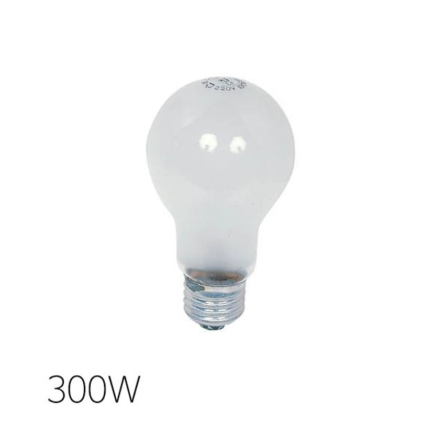 백열전구 램프 투명 300W E39 인테리어(20개입)