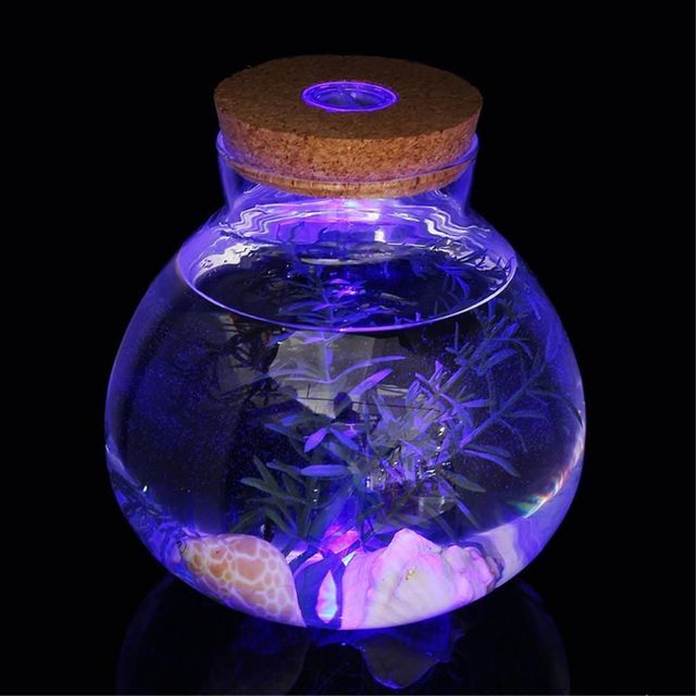 LED 유리 코르크병 15x16cm 마리모 키우기