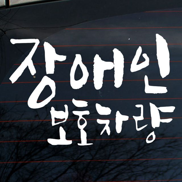 자동차 초보운전 아기스티커_캘리 보호차량 휠체어