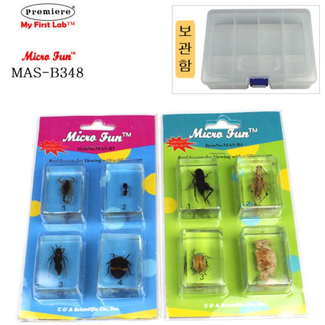 표본곤충벌레 BOX B348 8종 MAS