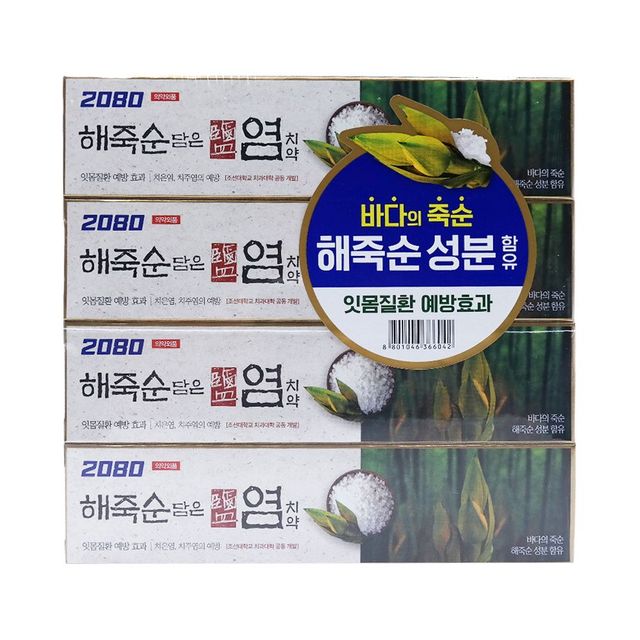 2080 죽염치약 해죽순 120g 담은 4개입