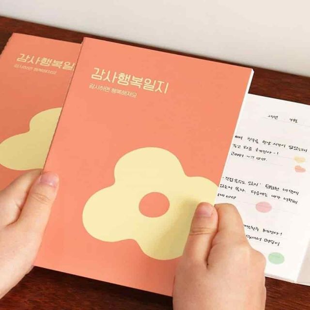 감사일지 50일 질문다이어리 마음챙김 감사일기 정서안정