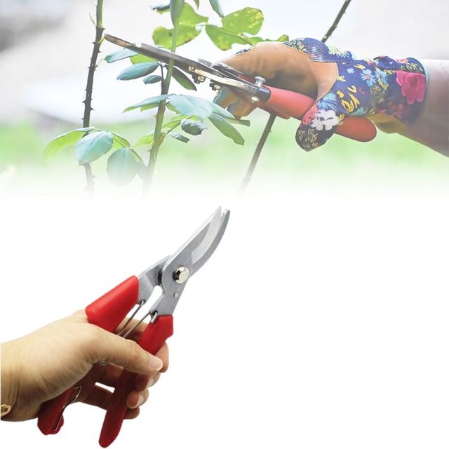 전정가위 나무가지 전용 조경가위, 정원 가지치기용