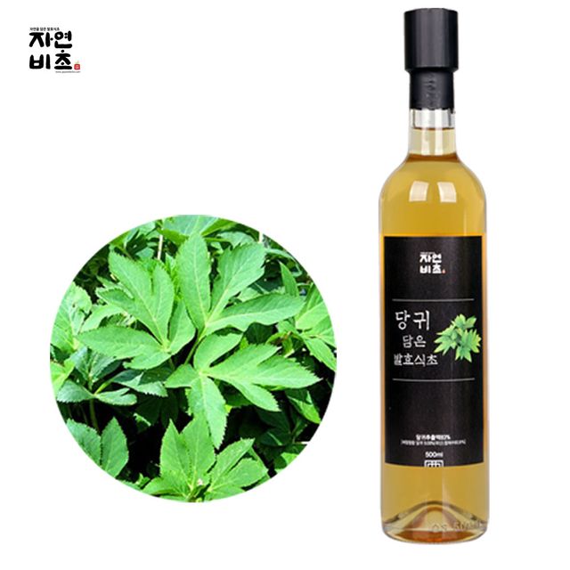 자연비초 당귀식초 500ml