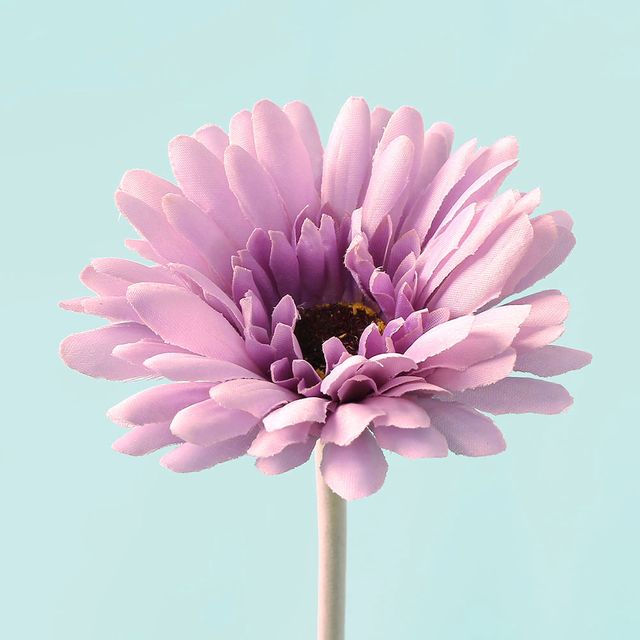 인테리어화분 가짜꽃화분 피어나 거베라 조화 라이트퍼플