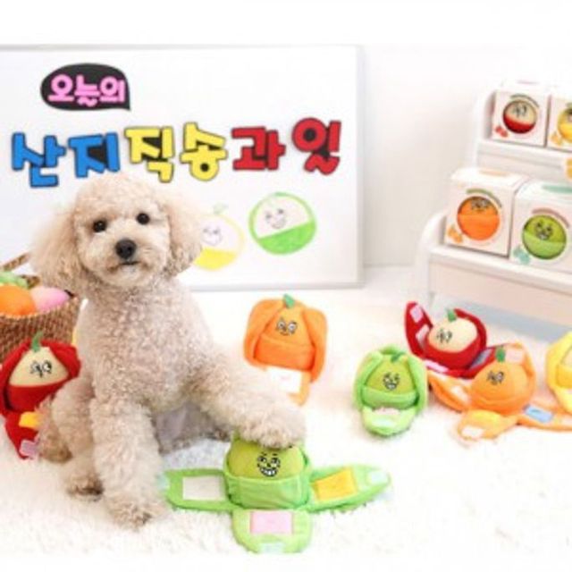 강아지 장난감 애견 노즈워크 토이 간식 놀이 L 사이즈 중대형견용