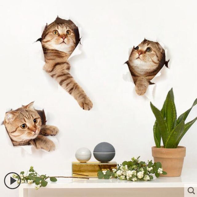 벽스티커 벽장식 벽지 자체접 착 귀여운고양이