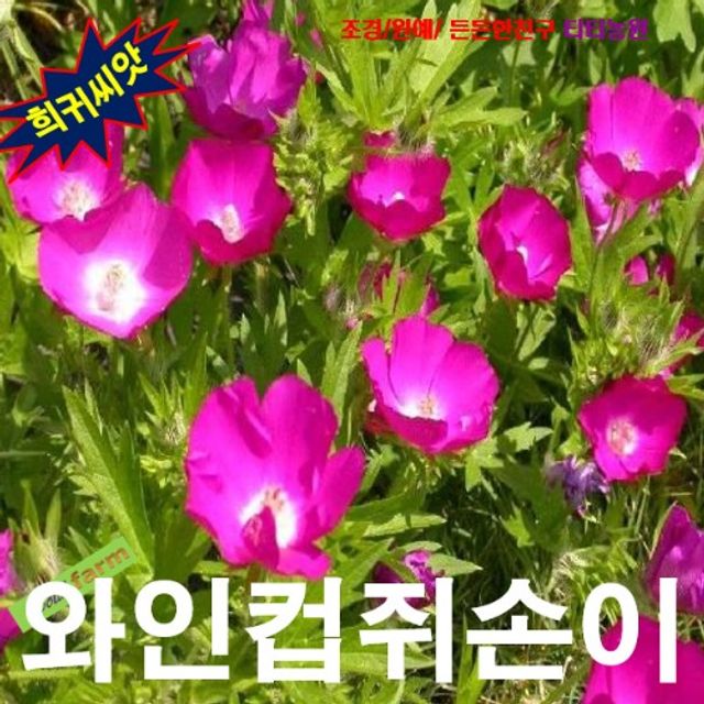 (씨앗나라) 와인컵쥐손이(Purple Poppy Mallow) 10립