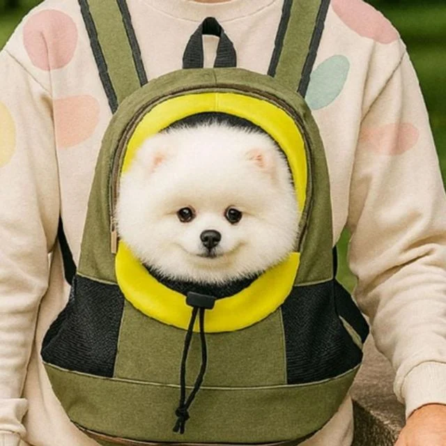 고양이 강아지 메쉬 백팩, 소형동물 산책 이동가방