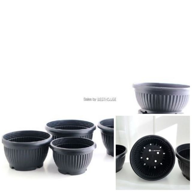 분재 호박 플라스틱 포트 화분 블랙 17x11cm 원형화분 식물화분 베란다화분 옥상화분