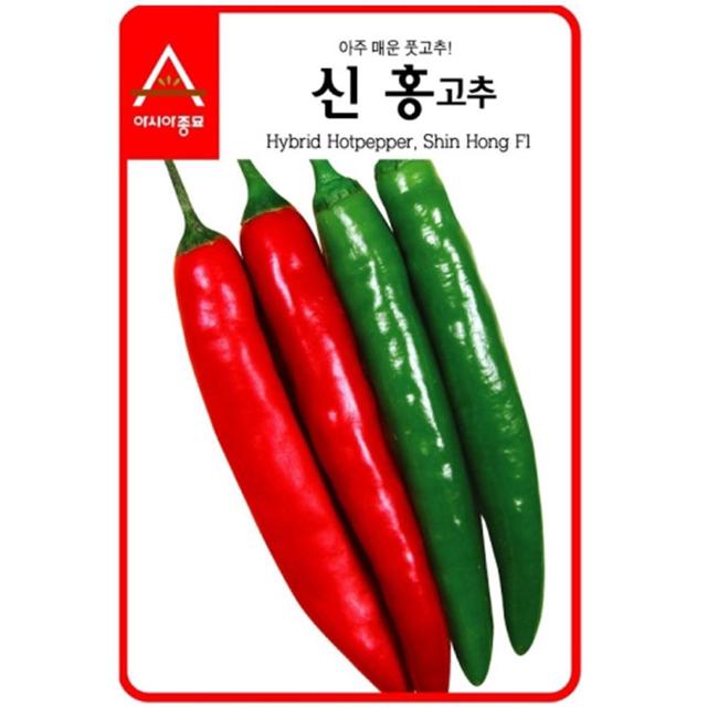 아주 매운 고추씨앗 신홍 700립 종자